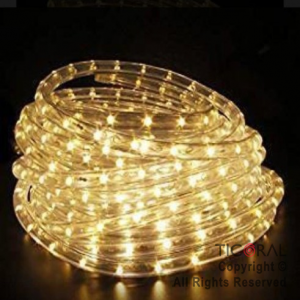 LUZ  LEDS MANGUERA BLANCA  X 5 MTS x 1